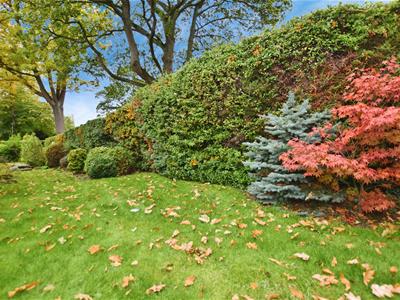 Wrap Around Garden